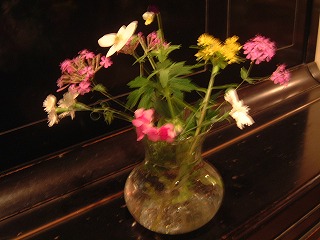 メイの花