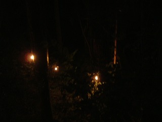 夜のツリーハウス
