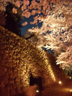 懐古園桜祭り